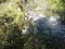 20150812_082257_resized.jpg