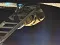 img_5708.jpg